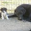 Juilette & DJ