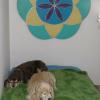 Dillinger & Lacey