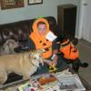 Katie pumpkin